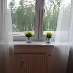 Mt *